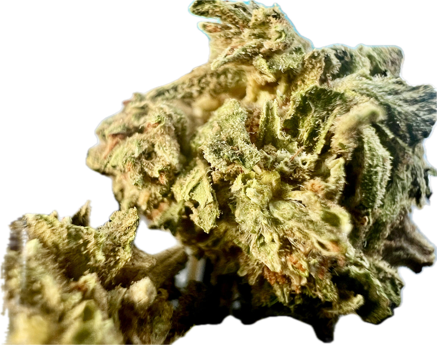 Ripkitty Gelato THCA Hemp Flowers