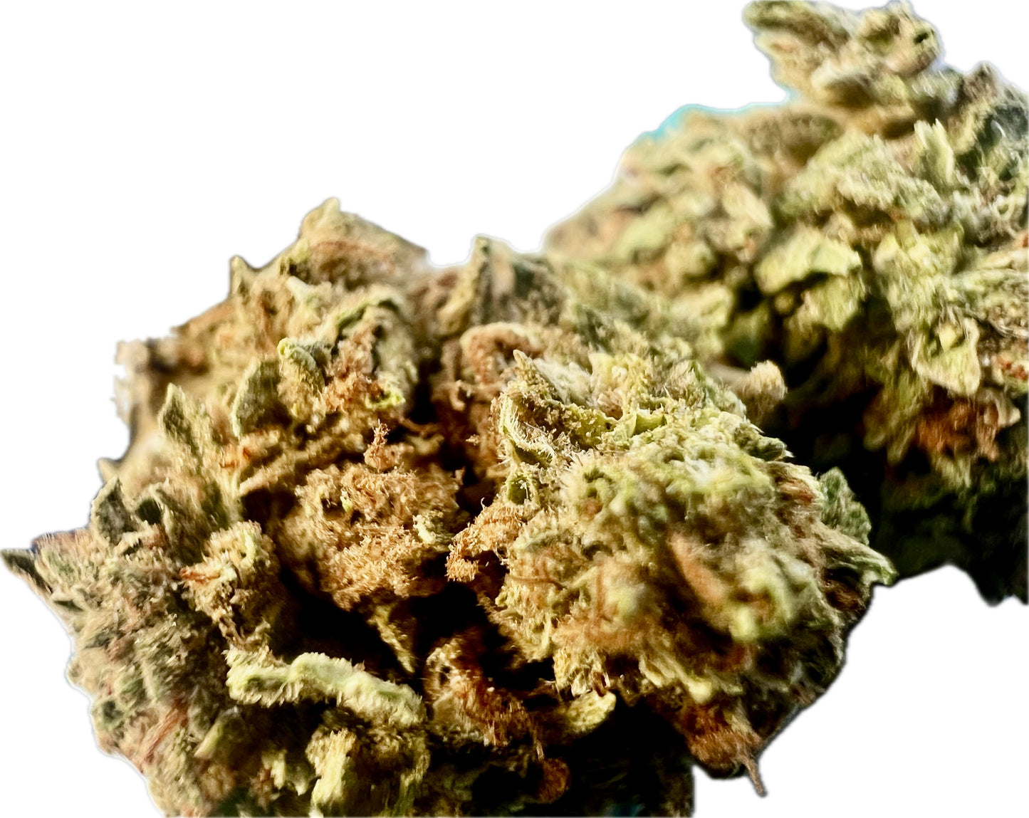 Ripkitty Gelato THCA Hemp Flowers