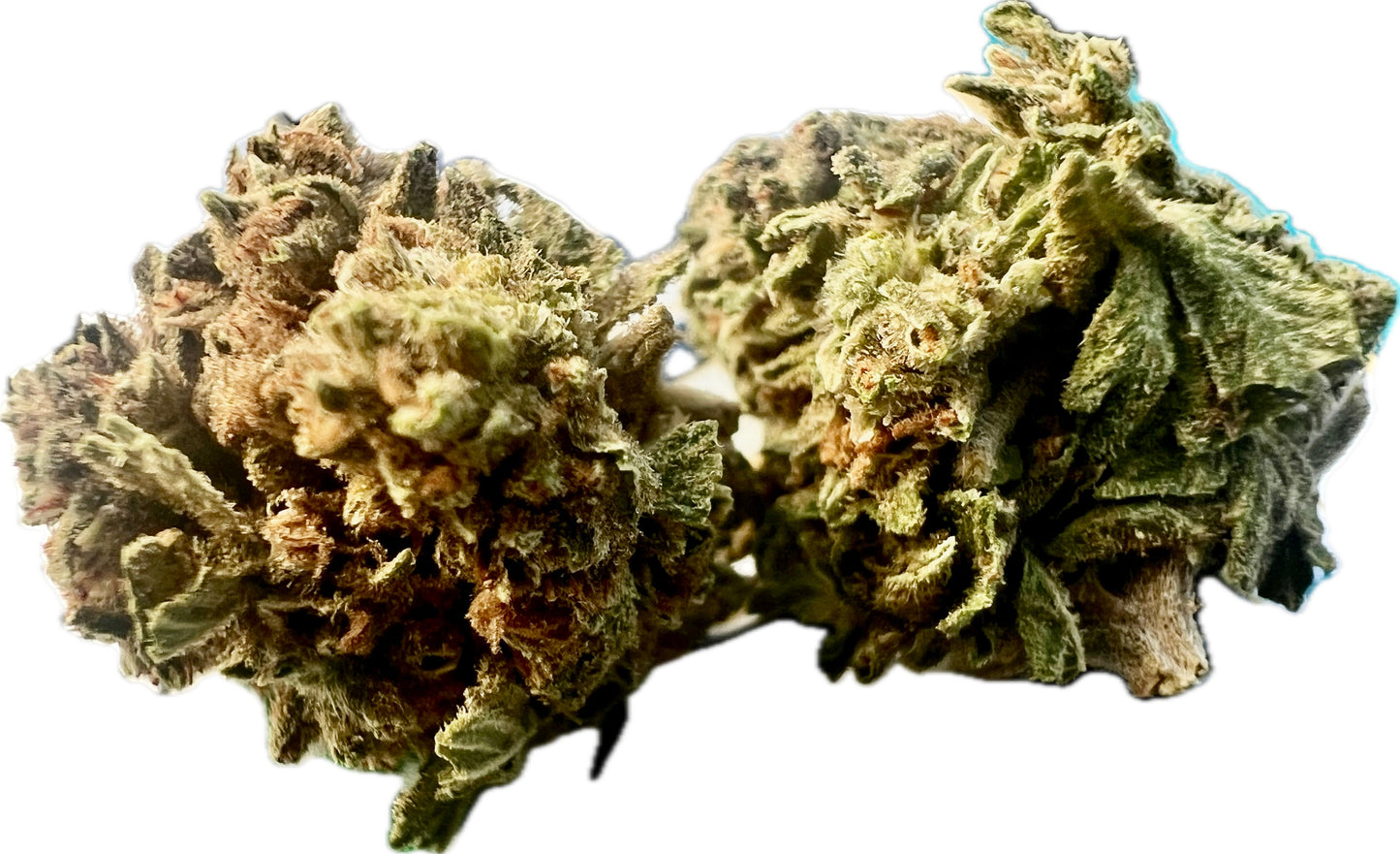 Ripkitty Gelato THCA Hemp Flowers