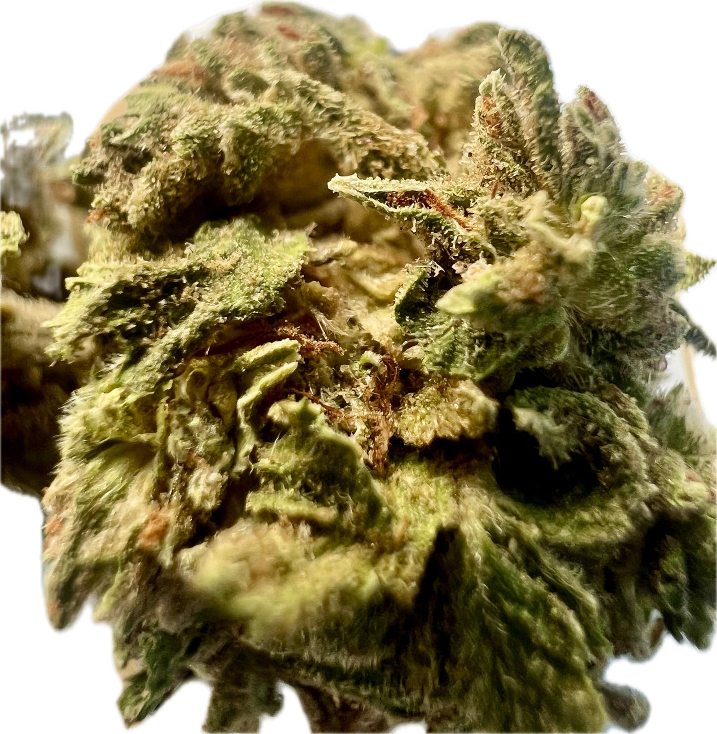 Ripkitty Gelato THCA Hemp Flowers